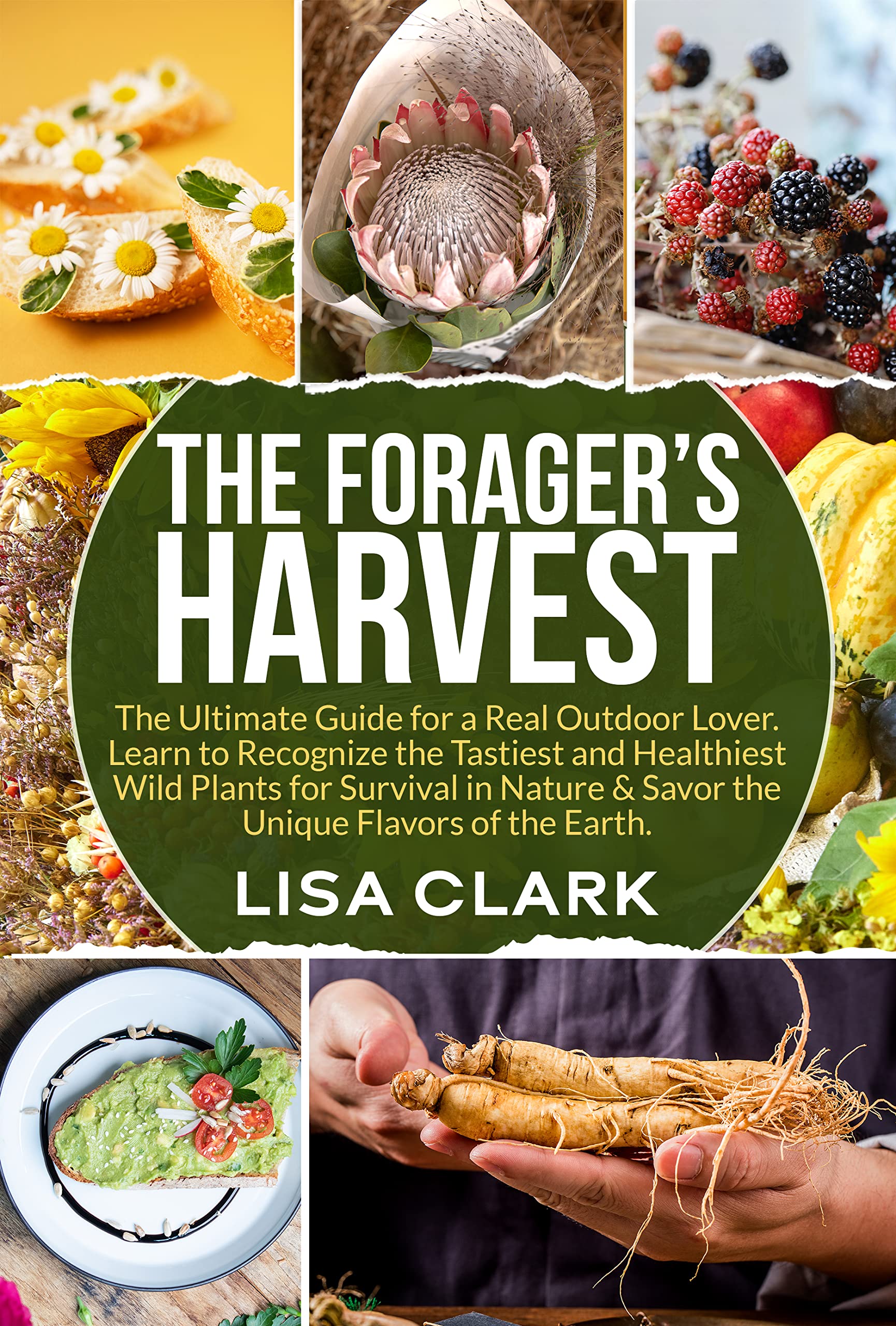 The Forager's Harvest The Ultimate Guide for a Real Outdoor Lover