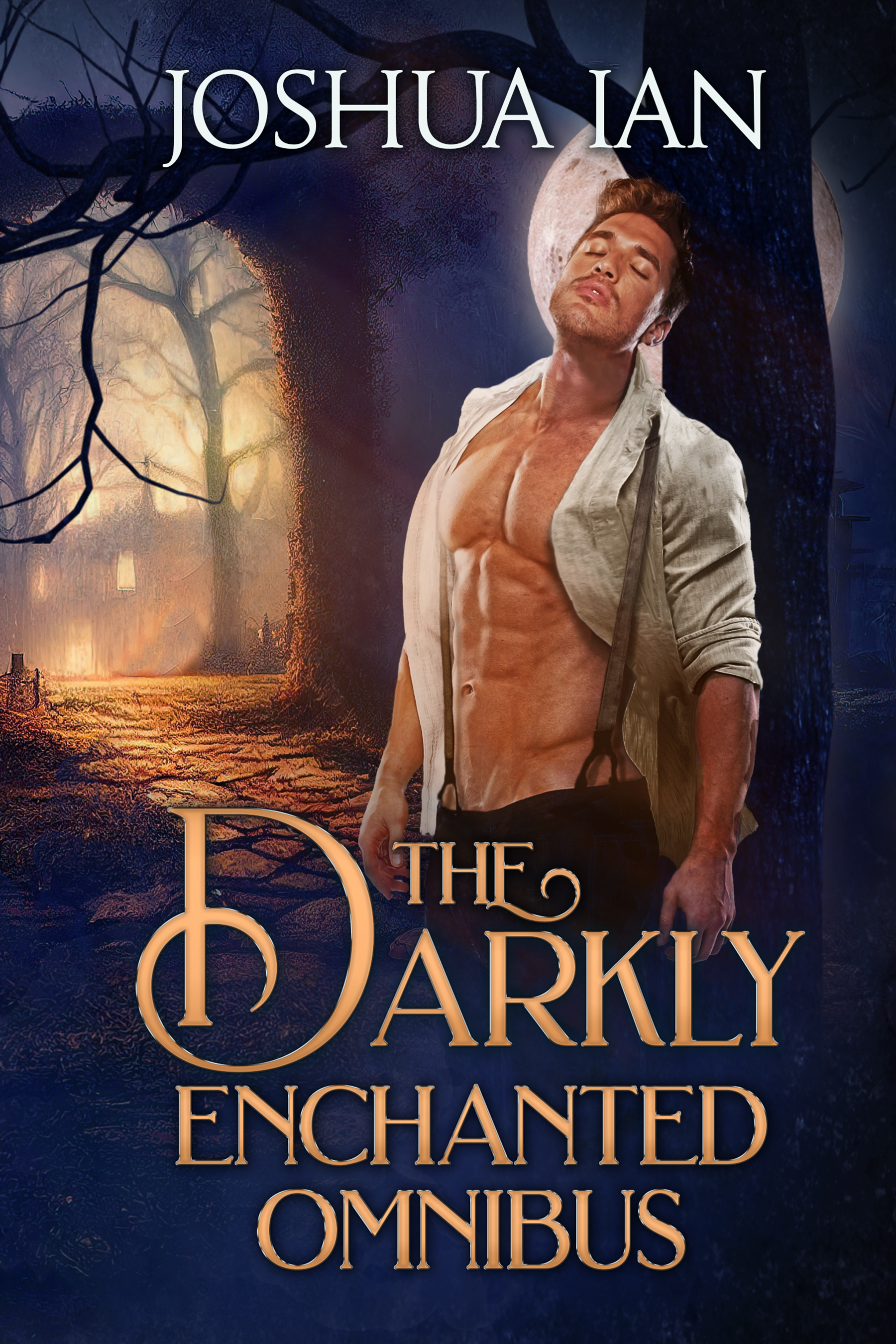 The Darkly Enchanted Omnibus book cover