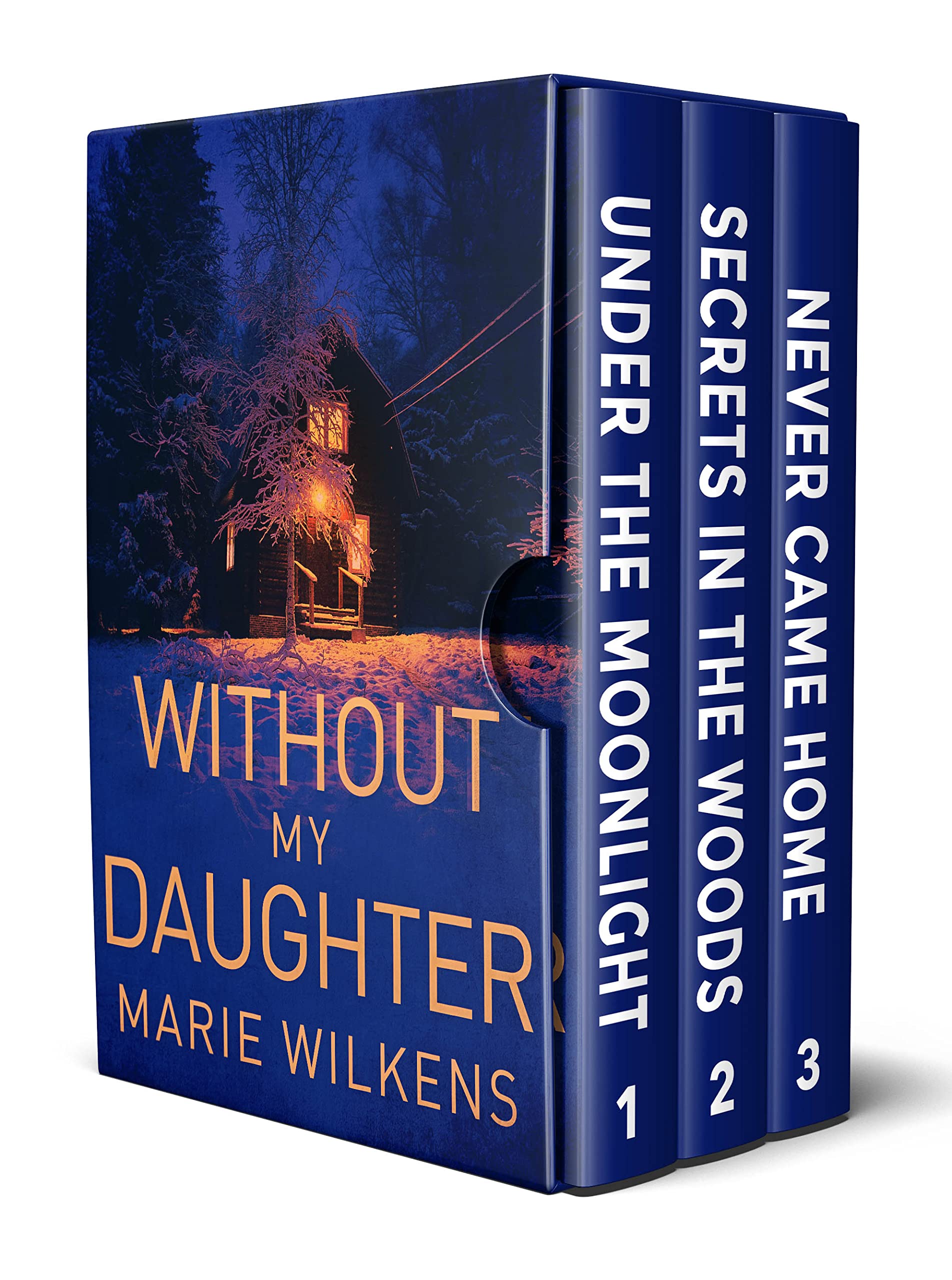 Without My Daughter book cover