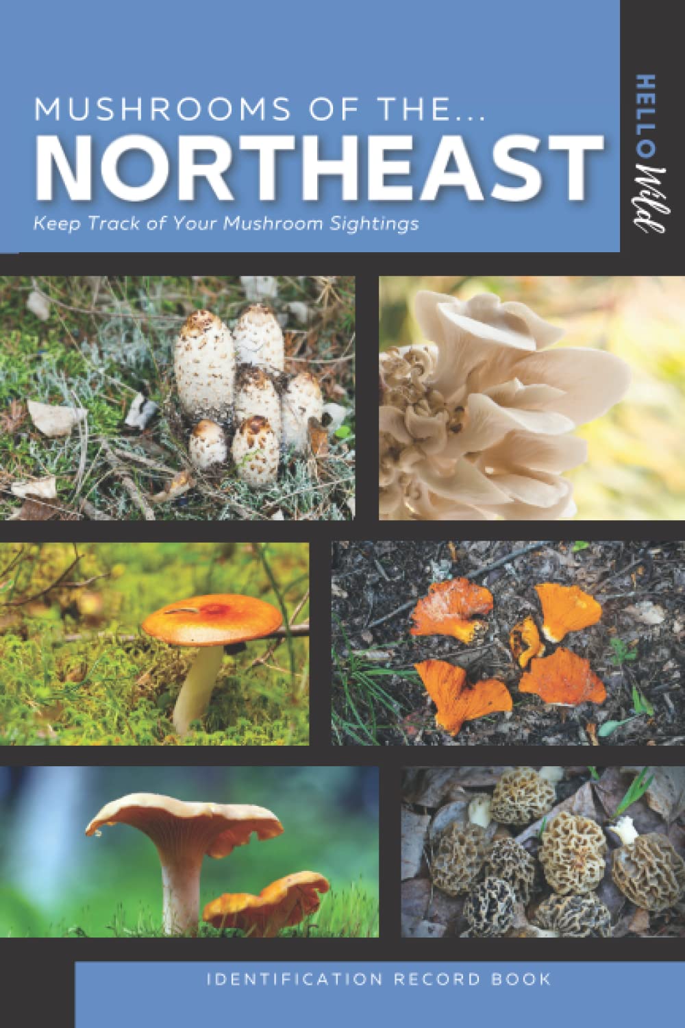 Mushrooms of the Northeast Identification Record Book A Simple Take