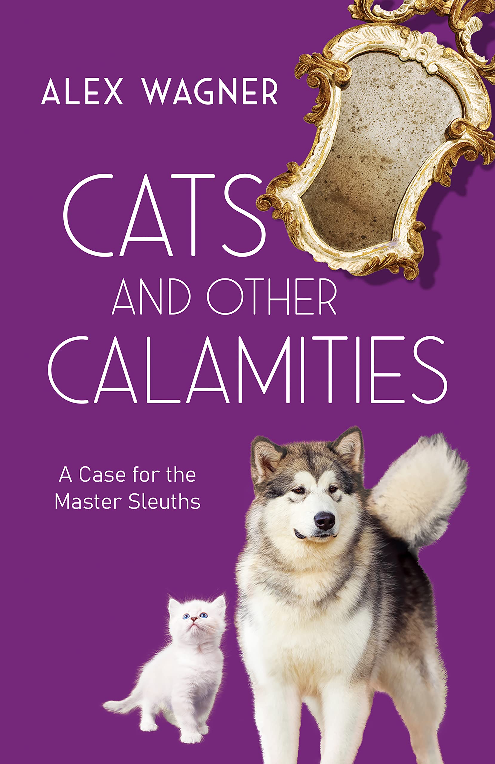 Cats and Other Calamities