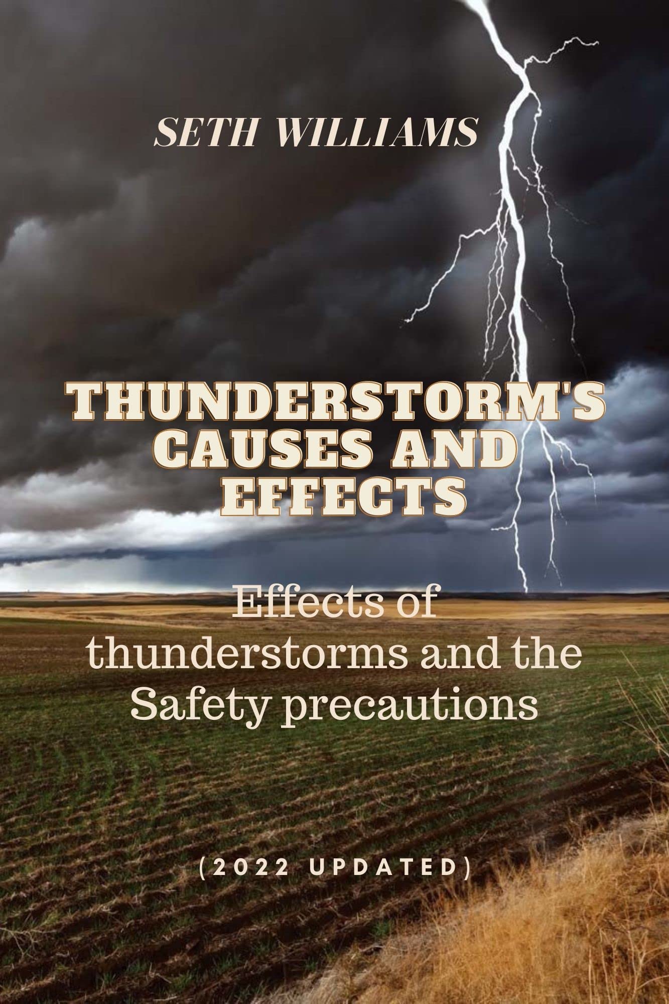 Thunderstorm's Causes and Effects Effects of thunderstorms and the