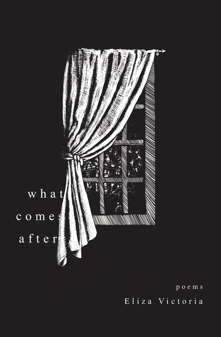 What Comes After book cover