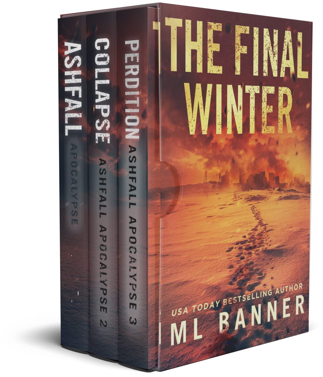 The Final Winter book cover