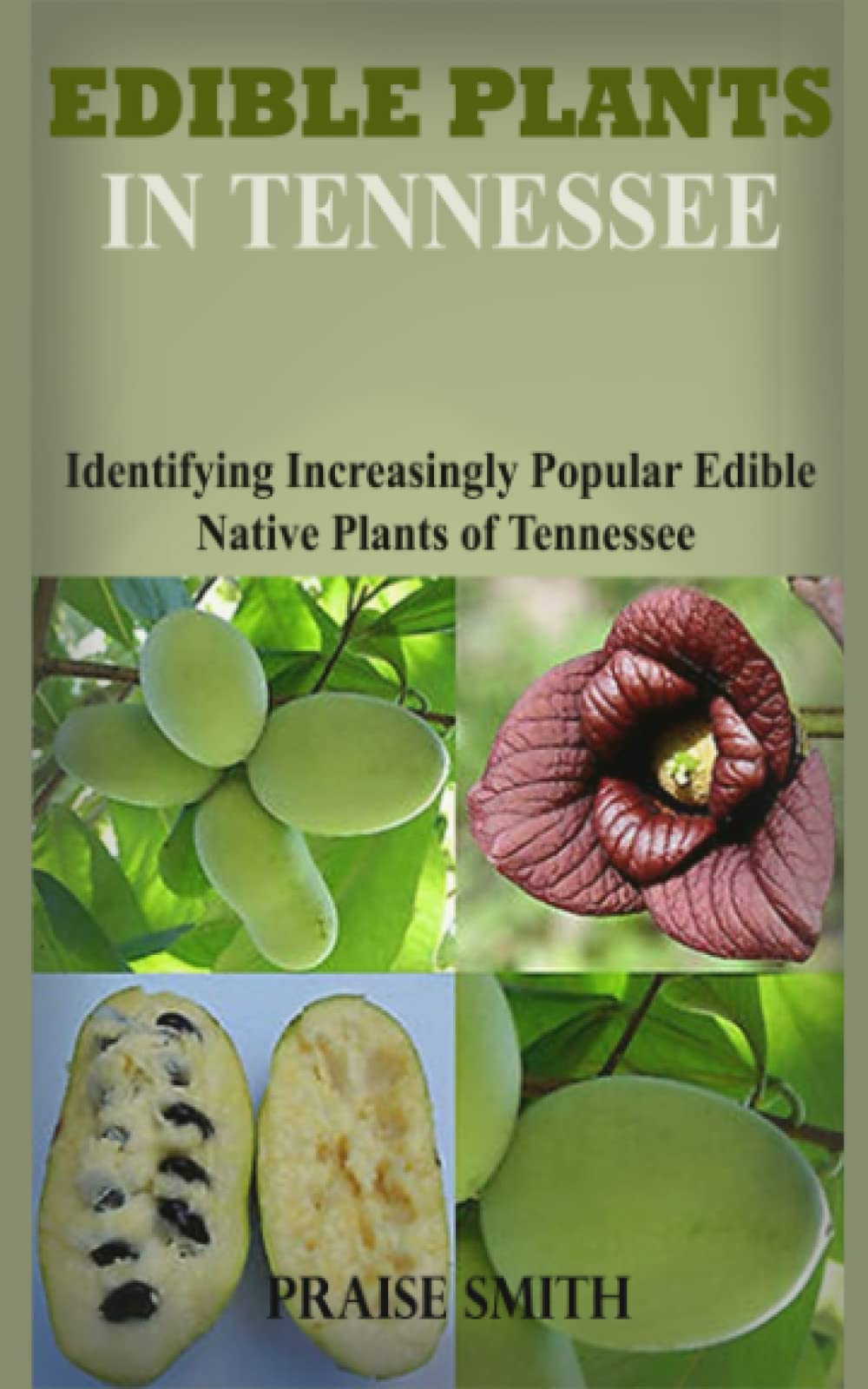 Tennessee Edible Plants Guide Identifying Increasingly Popular Edible