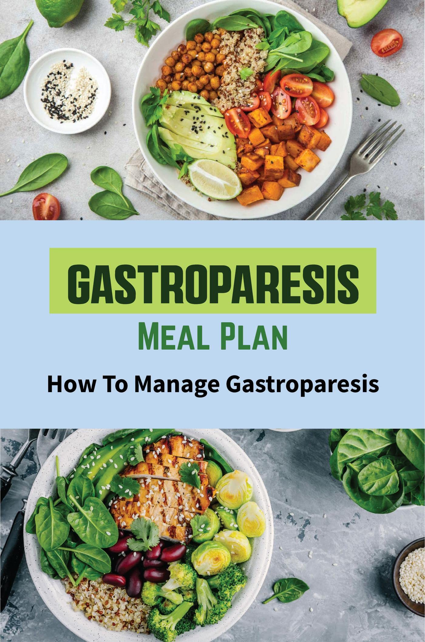 Gastroparesis meal plan how to manage gastroparesis by daniel pinar