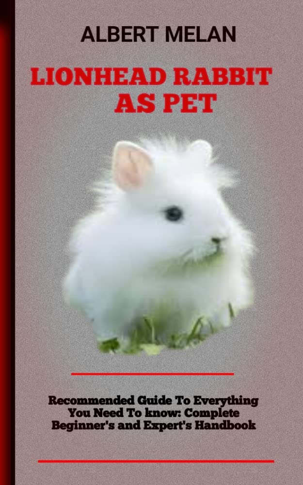 Lionhead Rabbit As Pet The Complete Guide To Caring For Your Lionhead
