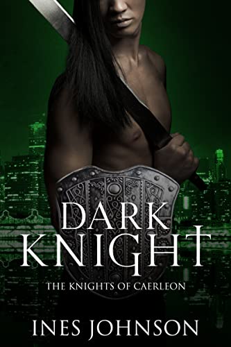 Dark Knight book cover