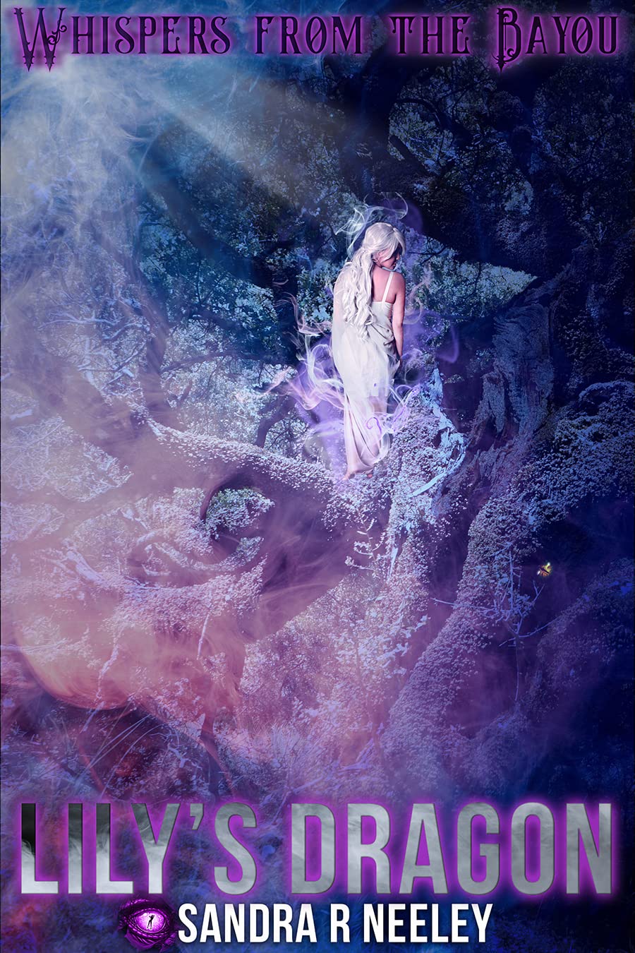 Lily's Dragon book cover