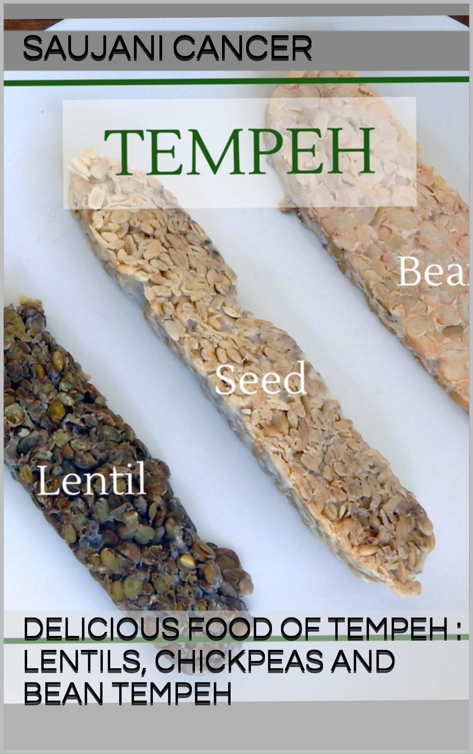 DELICIOUS FOOD OF TEMPEH LENTILS, CHICKPEAS AND BEAN TEMPEH by