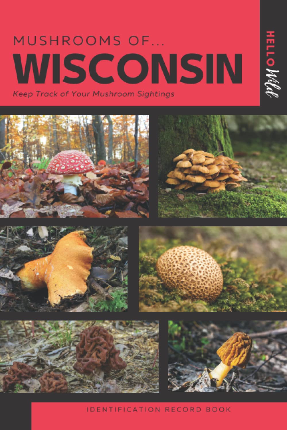 Mushrooms of Wisconsin Identification Record Book A Simple Take Along