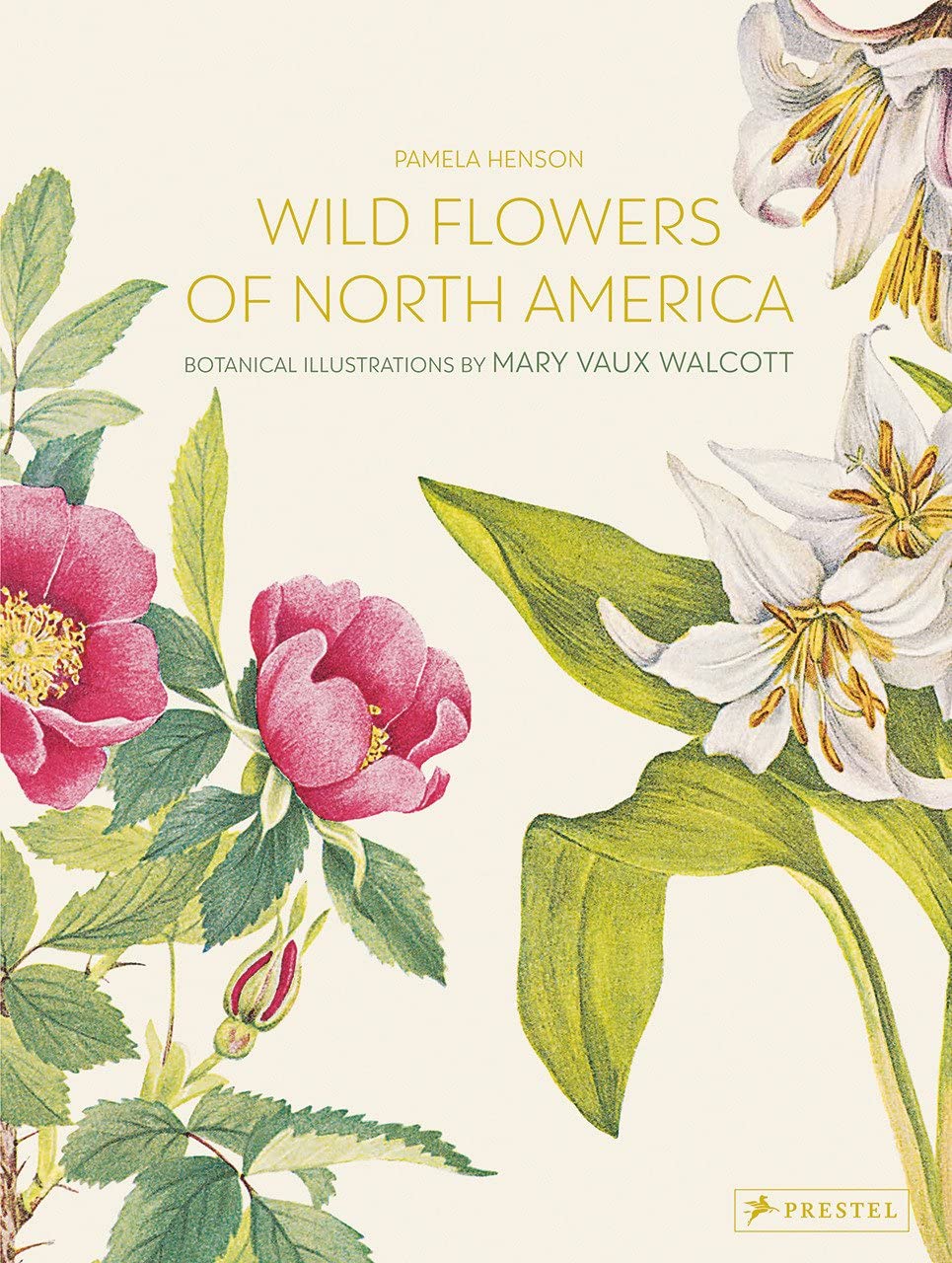 Wild Flowers of North America Botanical Illustrations by Mary Vaux