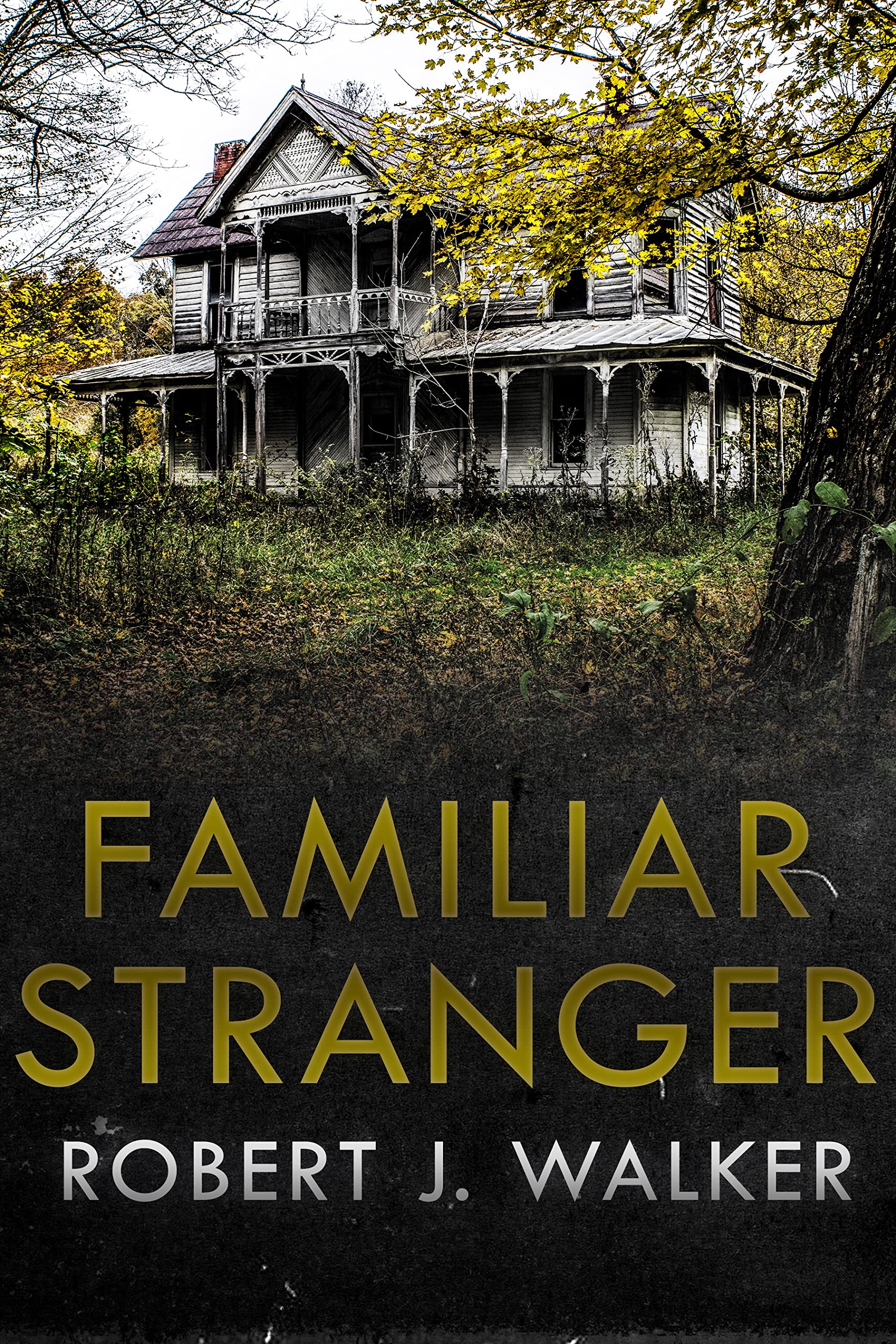 Familiar Stranger book cover