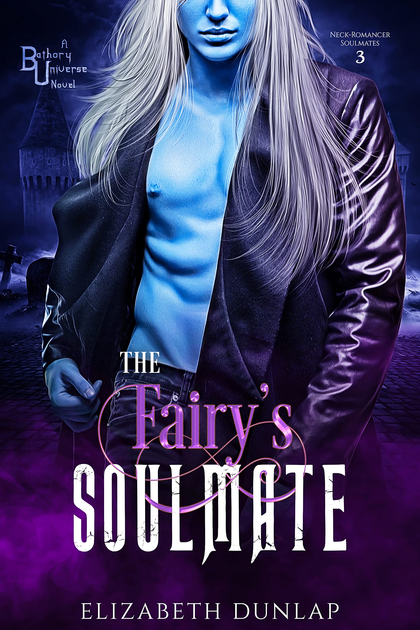 The Fairy's Soulmate book cover