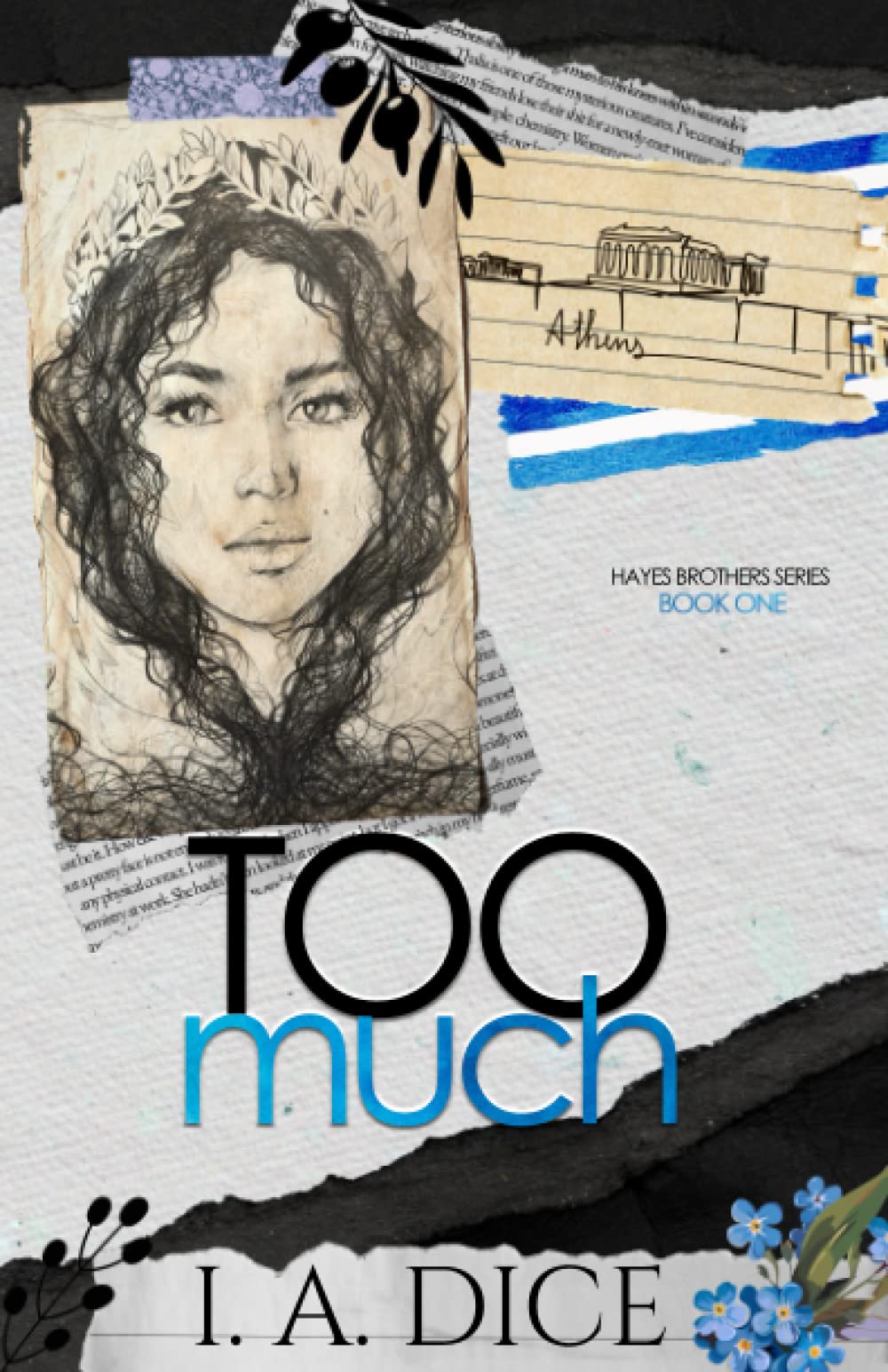 Too Much (Hayes Brothers Book 1)