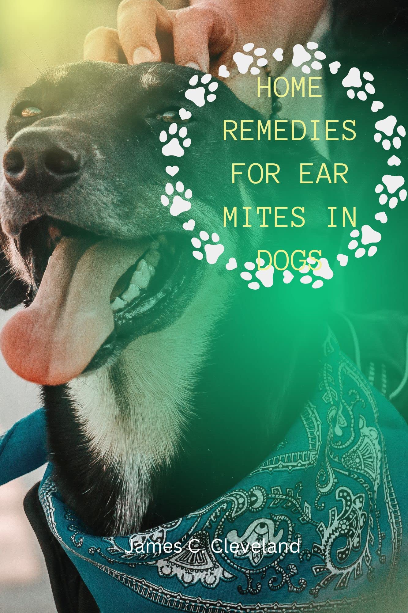 What Is A Home Remedy For Ear Mites In A Dog
