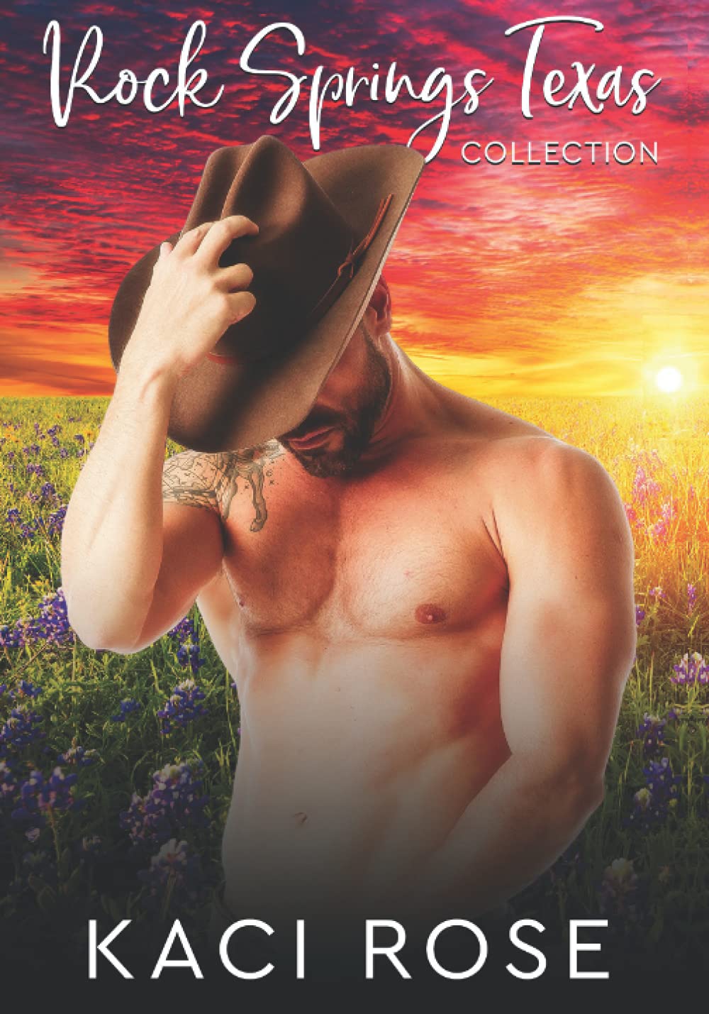Rock Springs Texas Collection Books 1 5 5 Hot Cowboy Romances! + Bonus Novella by Kaci Rose