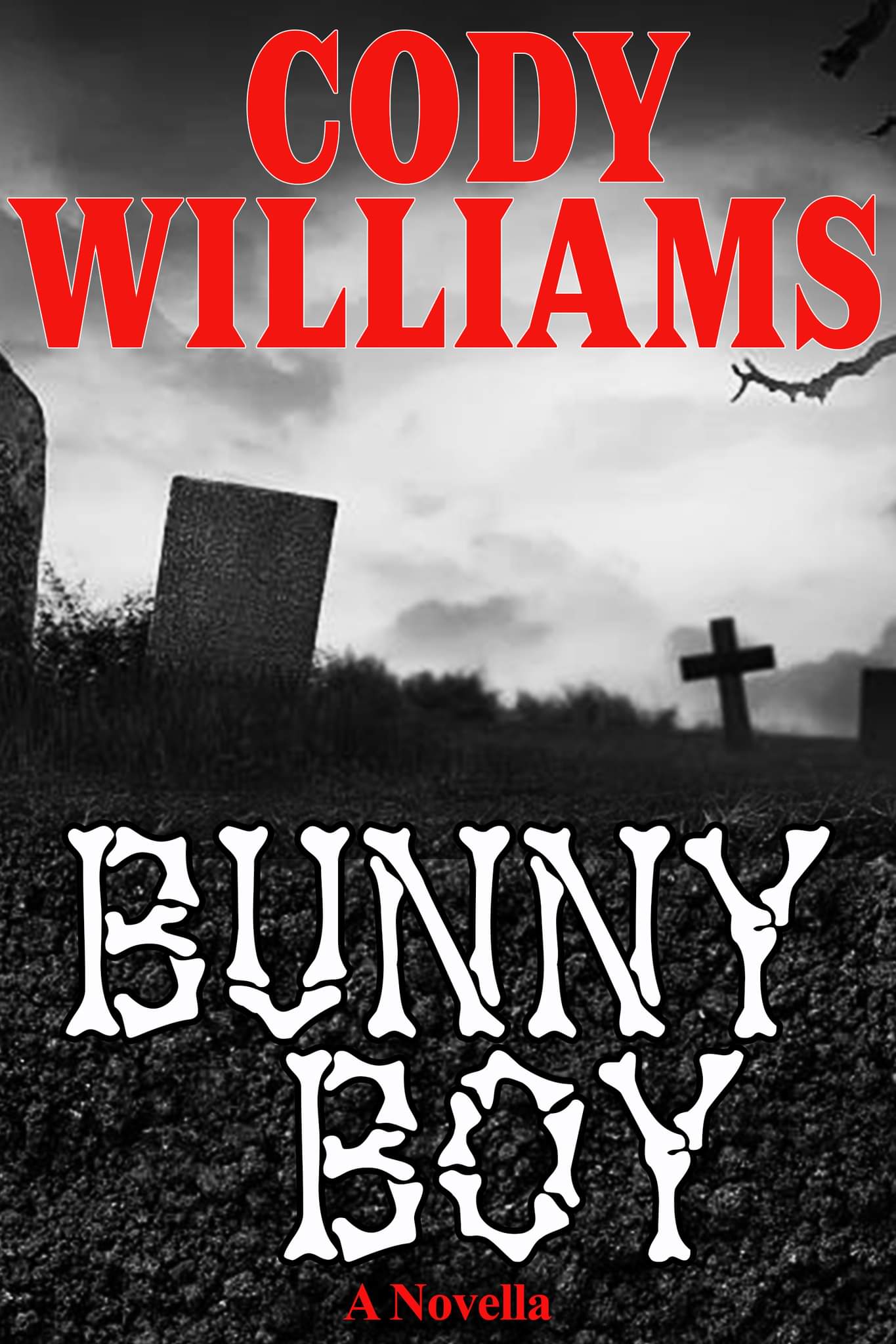 Bunny Boy by Cody Williams Goodreads