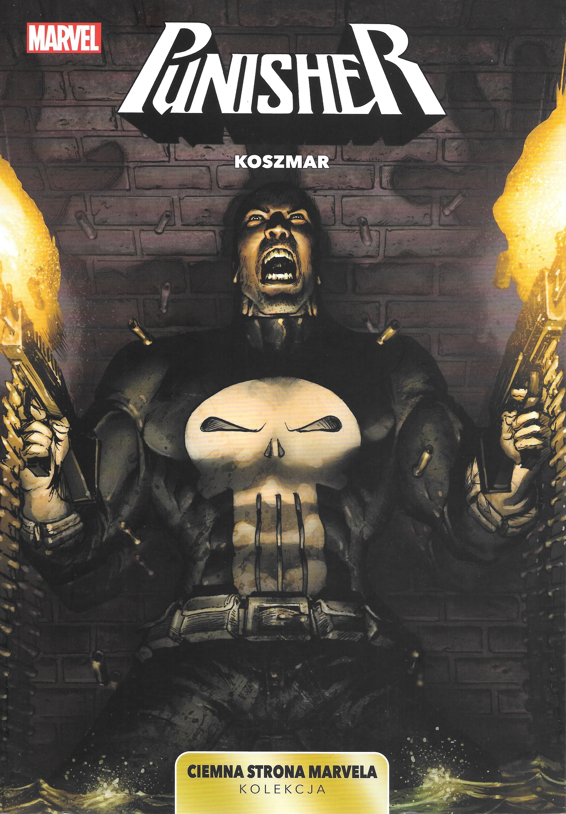 Punisher book cover