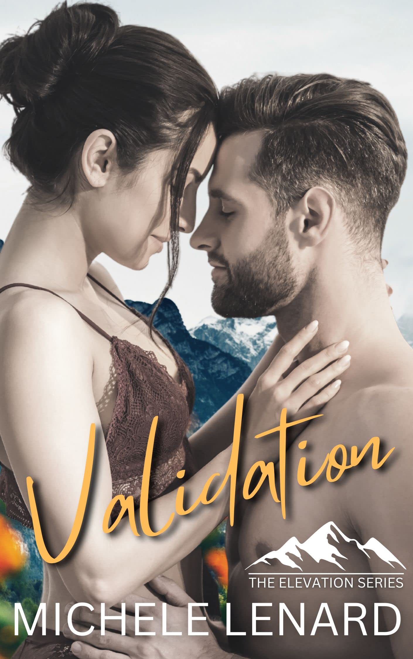 Validation book cover
