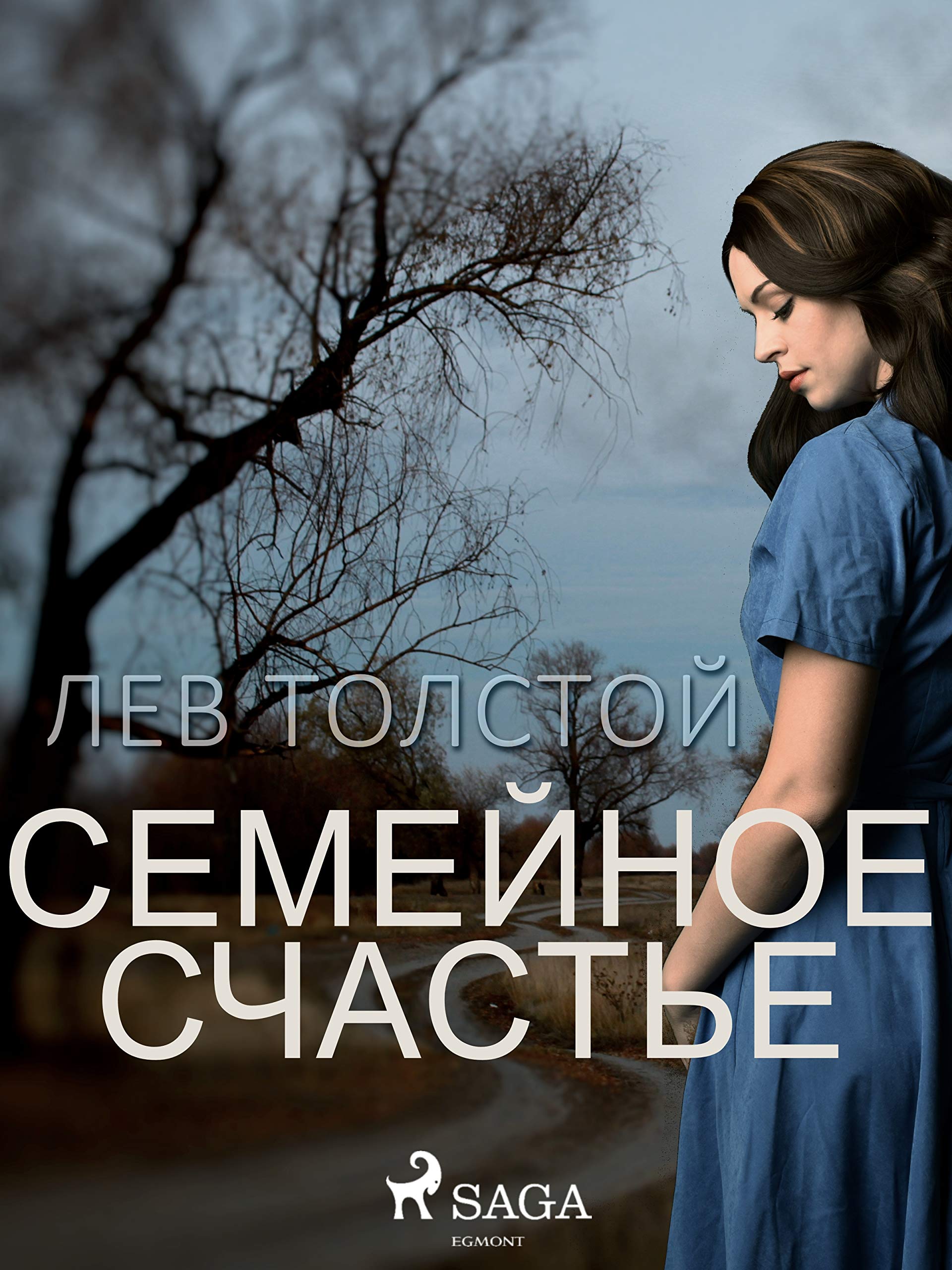 Семейное счастье book cover