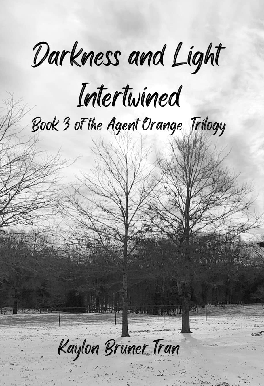 Darkness and Light Intertwined: Book 3 of the Agent Orange Trilogy