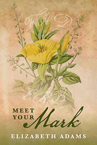 Meet Your Mark book cover