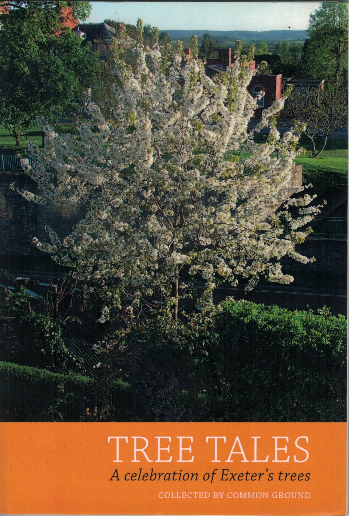 Tree Tales A Celebration of Exeter's Trees by Jos Smith Goodreads