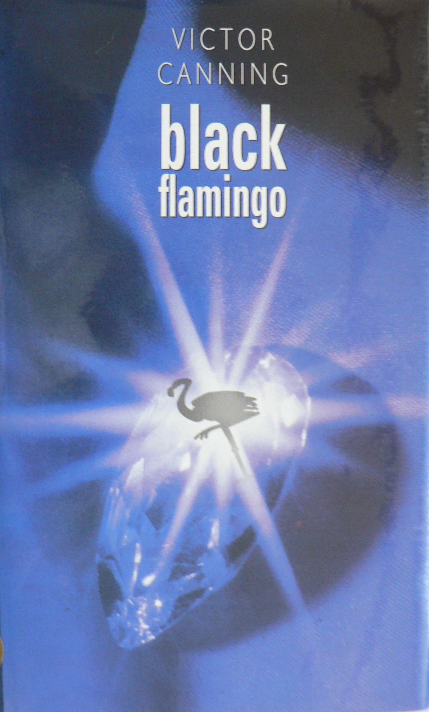 Black Flamingo book cover