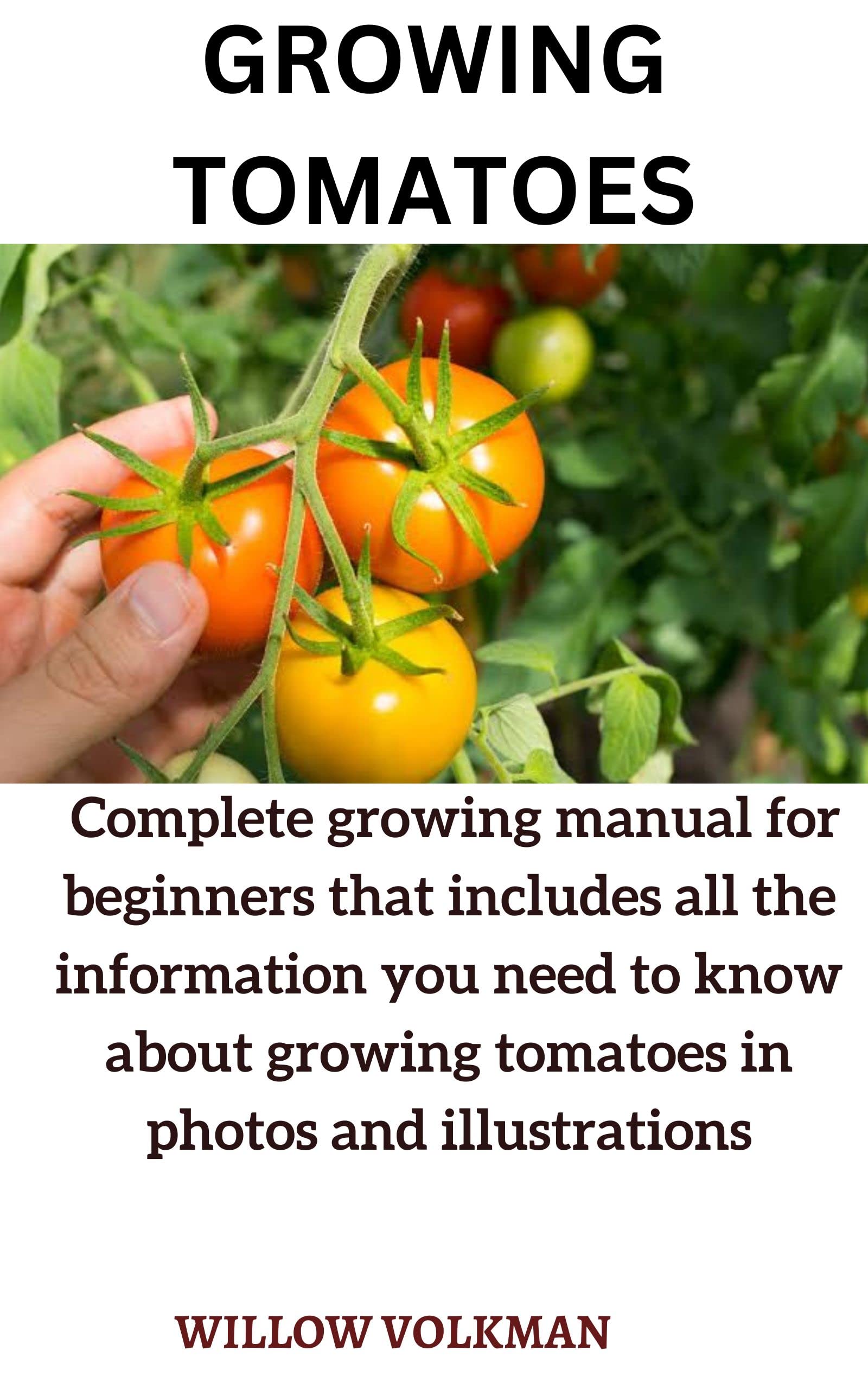 Growing tomatoes Complete growing manual for beginners that includes all the information you