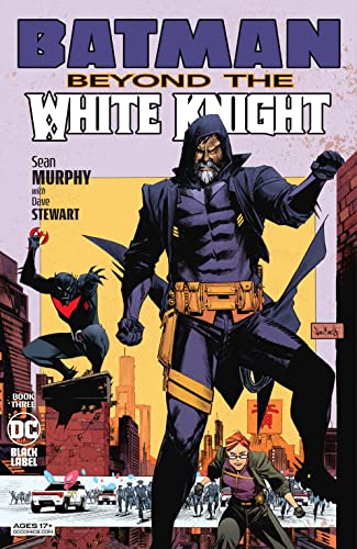 Batman book cover