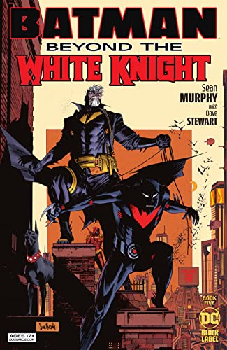 Batman book cover