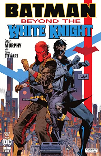 Batman book cover