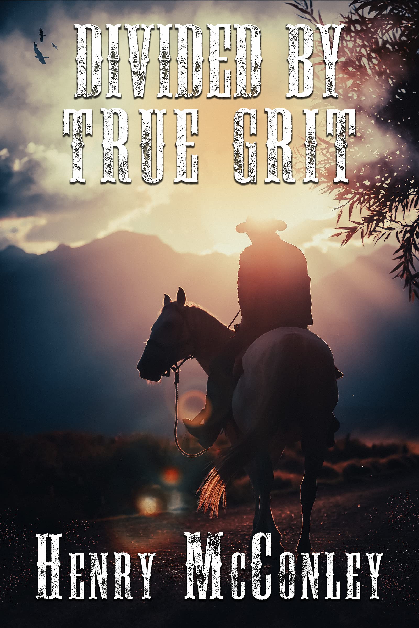 Divided By True Grit: A Historical Western Adventure Novel