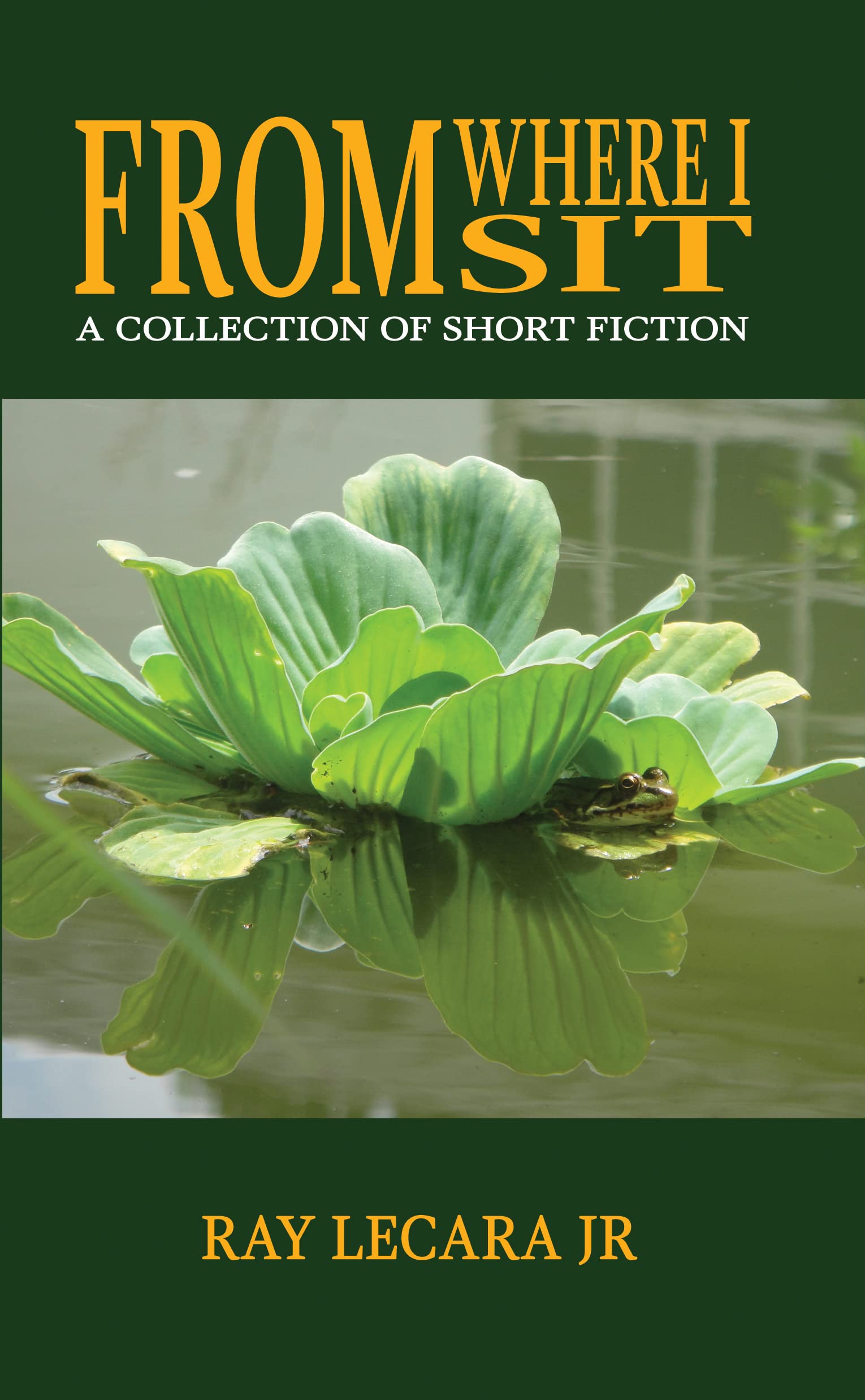 From Where I Sit: A Collection of Short Fiction