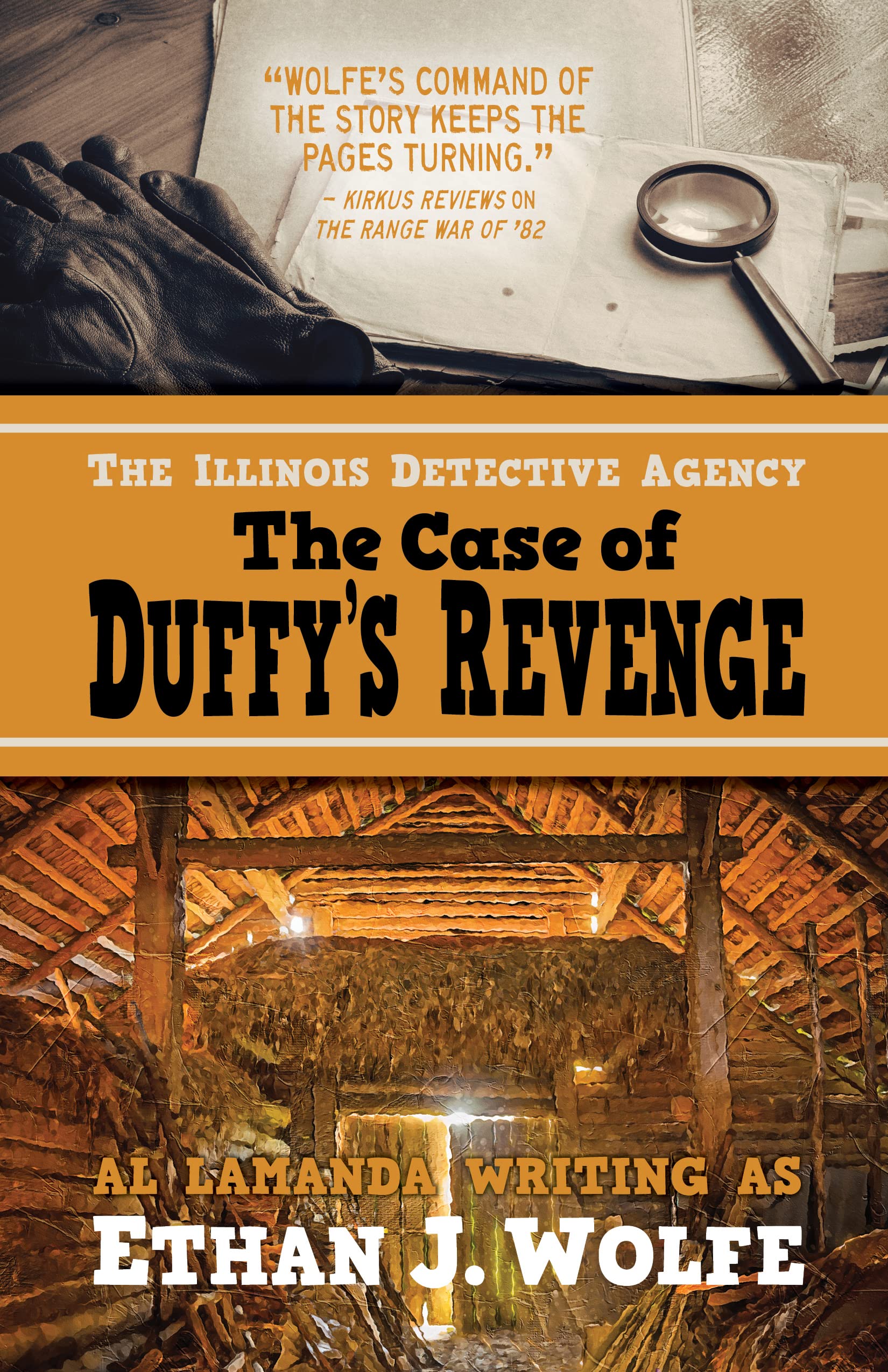 Ppp Detective Illinois - 355h4sk