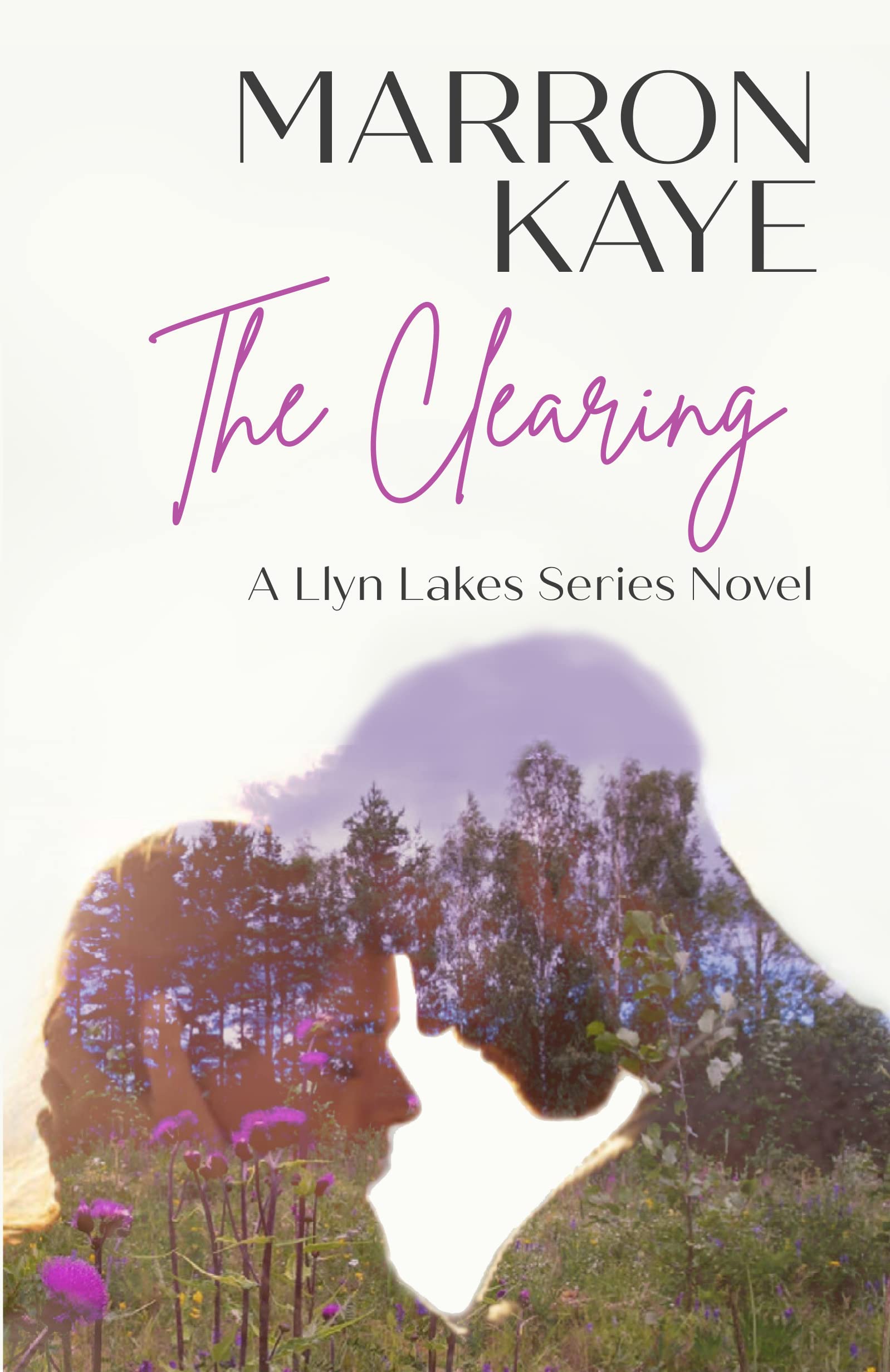 Llyn Lakes book cover 1
