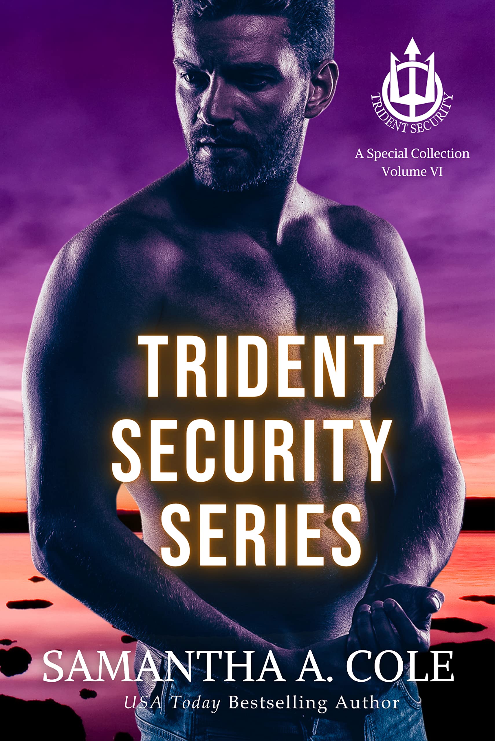 Trident Security Series: A Special Collection Volume VI