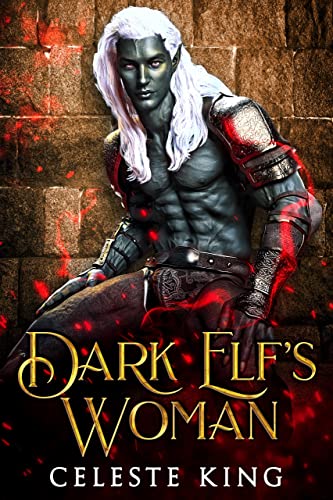 Dark Elf's Woman book cover