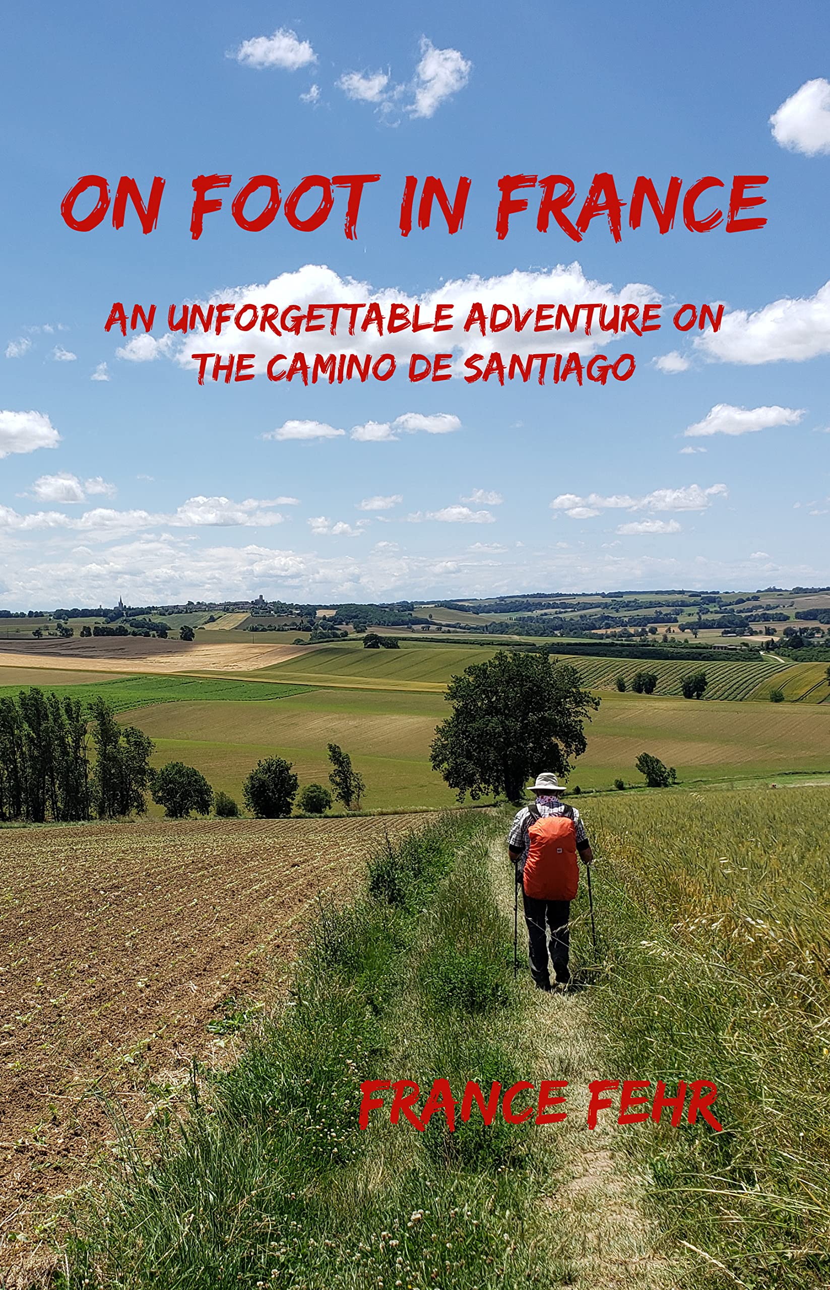 On Foot in France: An Unforgettable Adventure on the Camino de Santiago