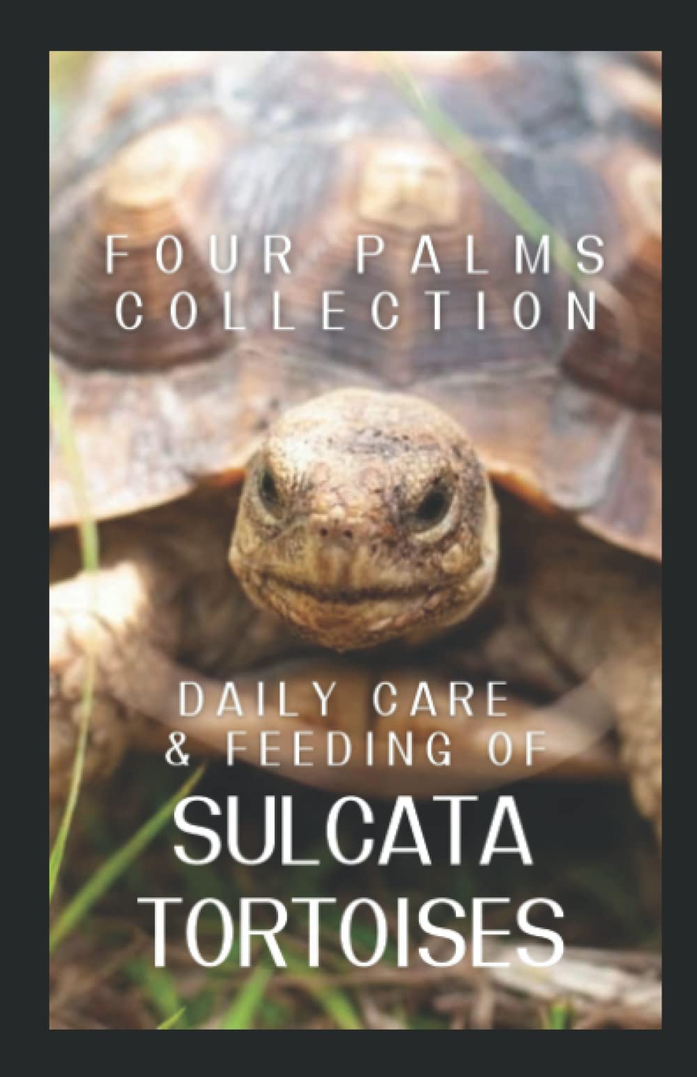 Daily Care and Feeding of Sulcata Tortoises A Sulcata Tortoise Lover's