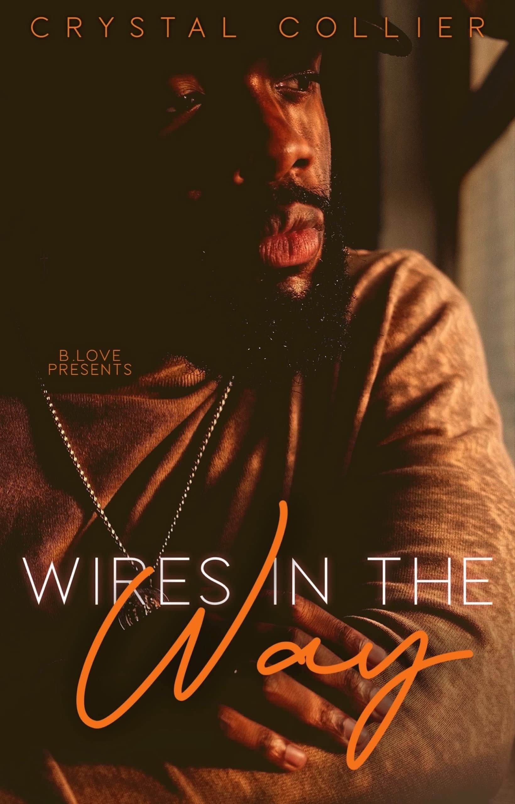 Wires in the Way book cover