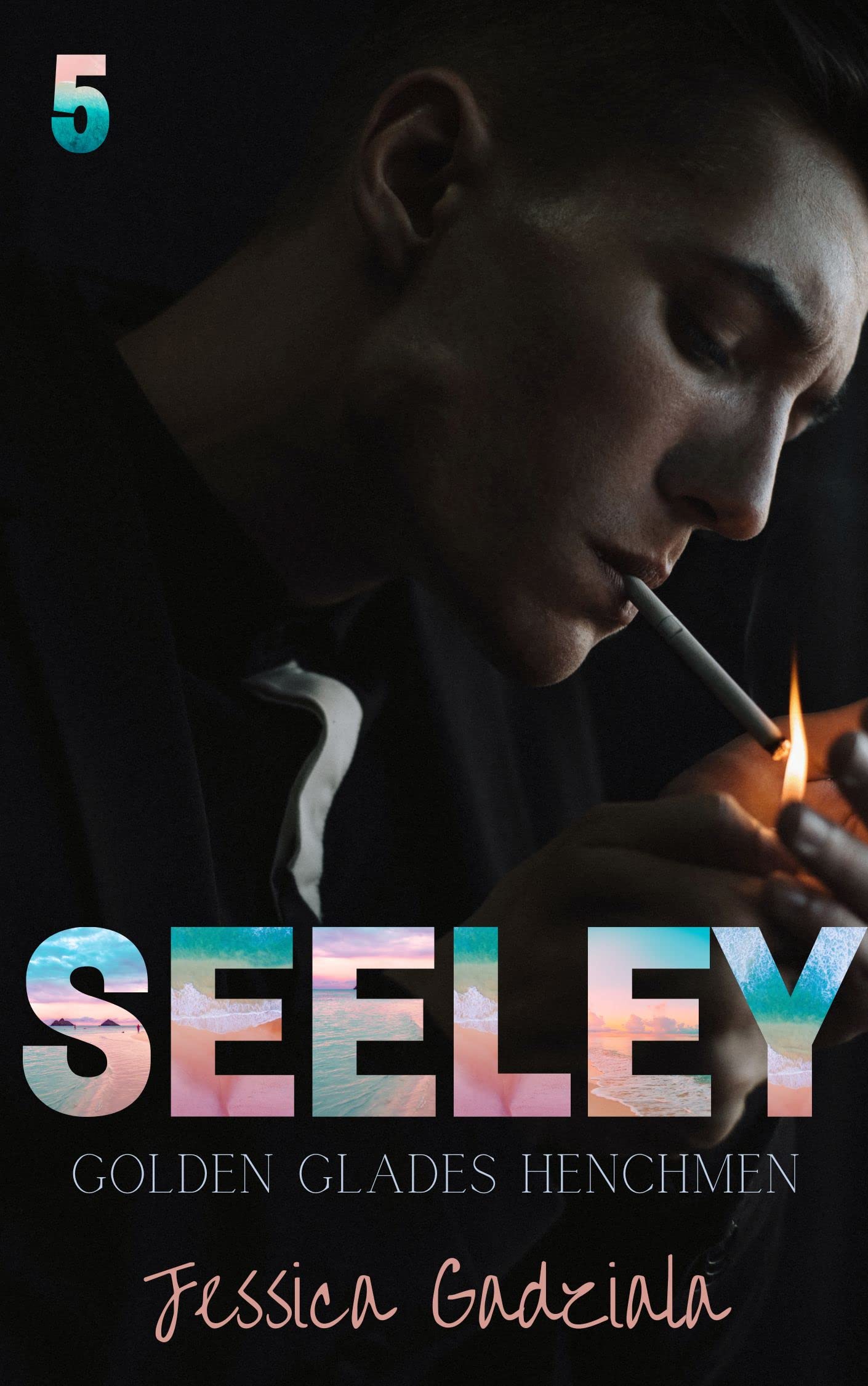 Seeley book cover