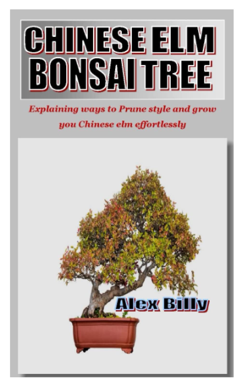 CHINESE ELM BONSAI TREE Explaining ways to Prune style and grow you