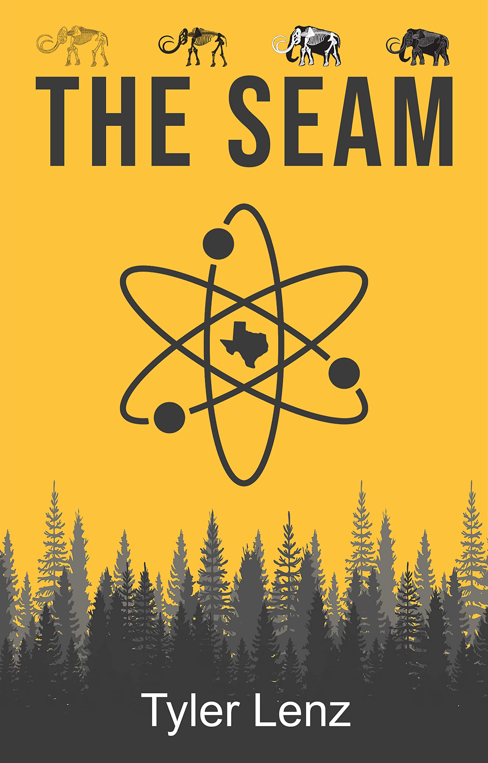 The Seam: Book One of Texas Accelerated