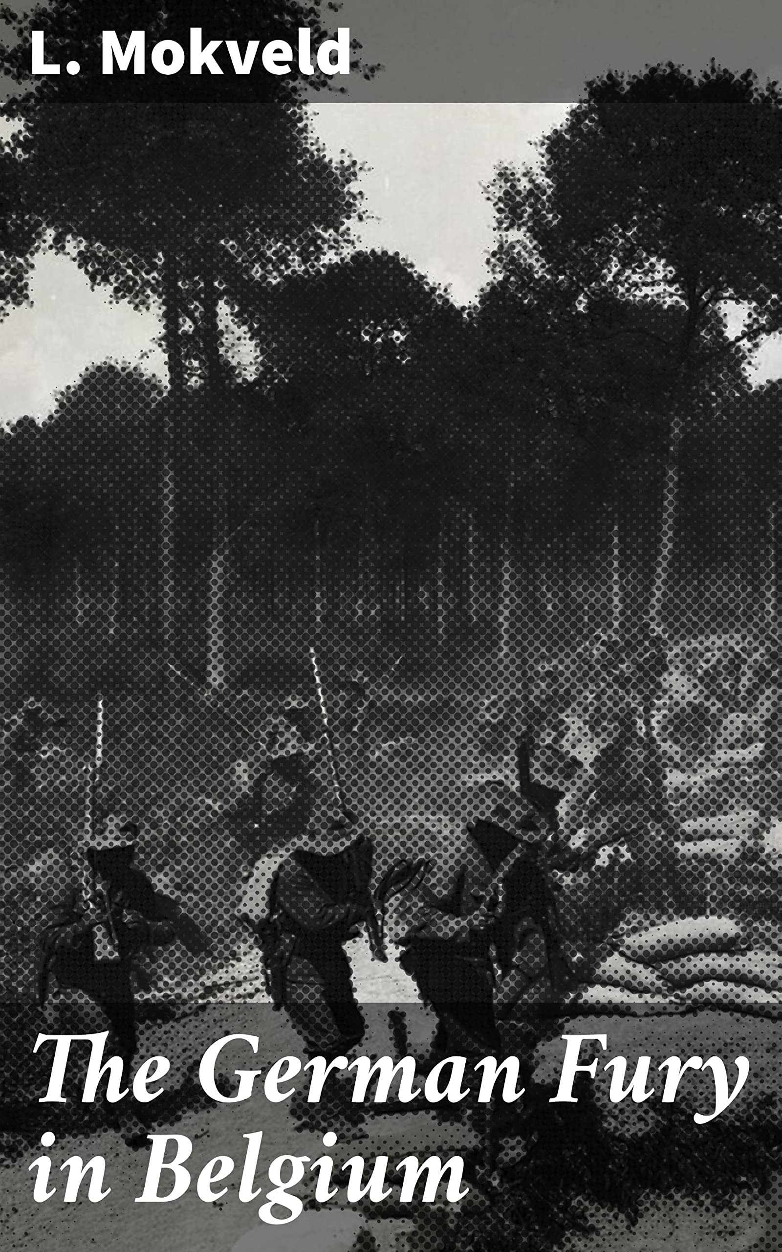 The German Fury in Belgium Experiences of a Netherland Journalist