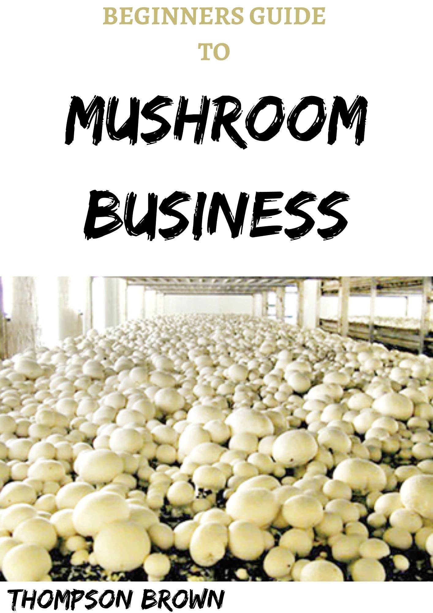 BEGINNERS GUIDE TO MUSHROOM BUSINESS Step By Step Guide On Starting a