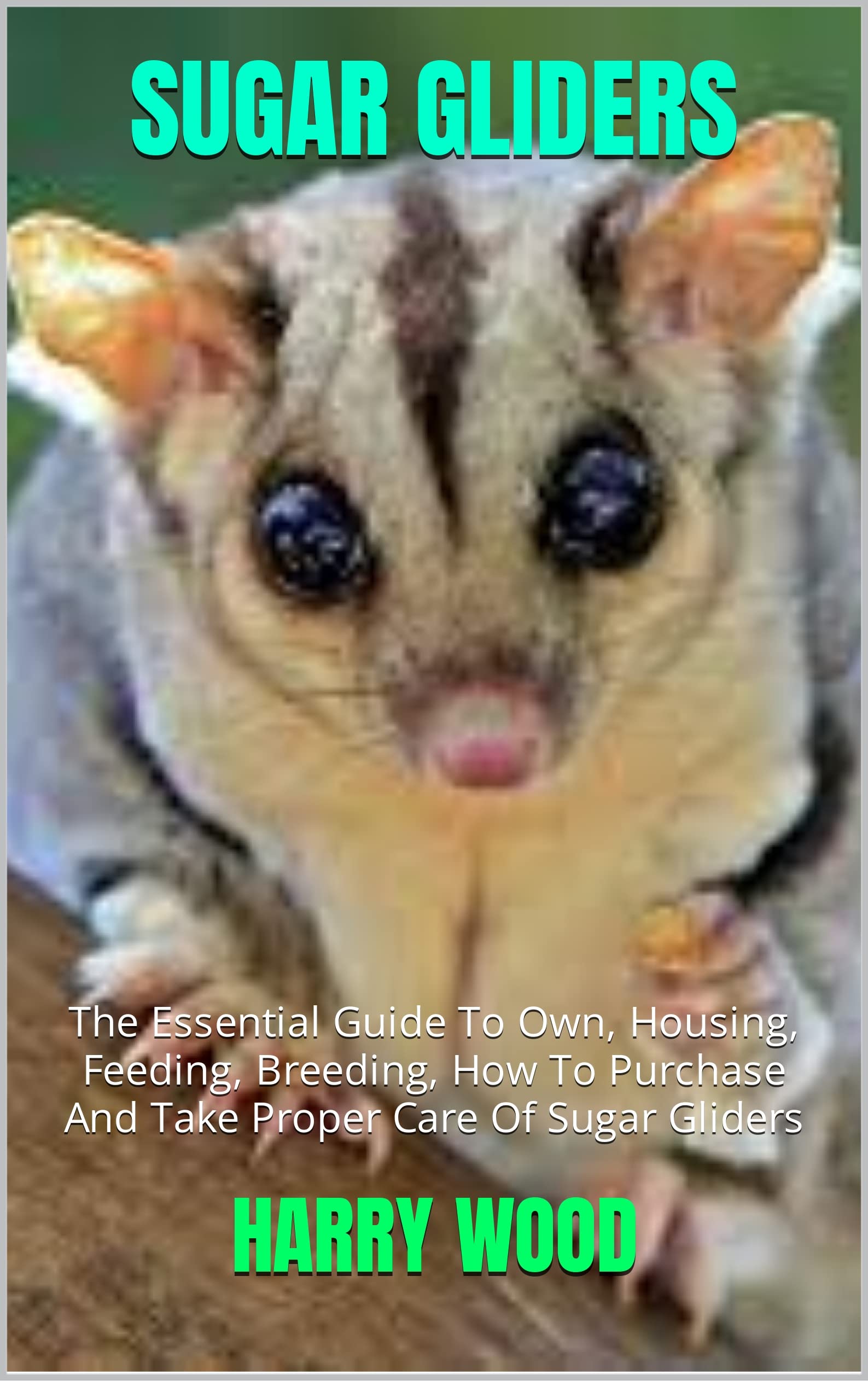SUGAR GLIDERS The Essential Guide To Own, Housing, Feeding, Breeding