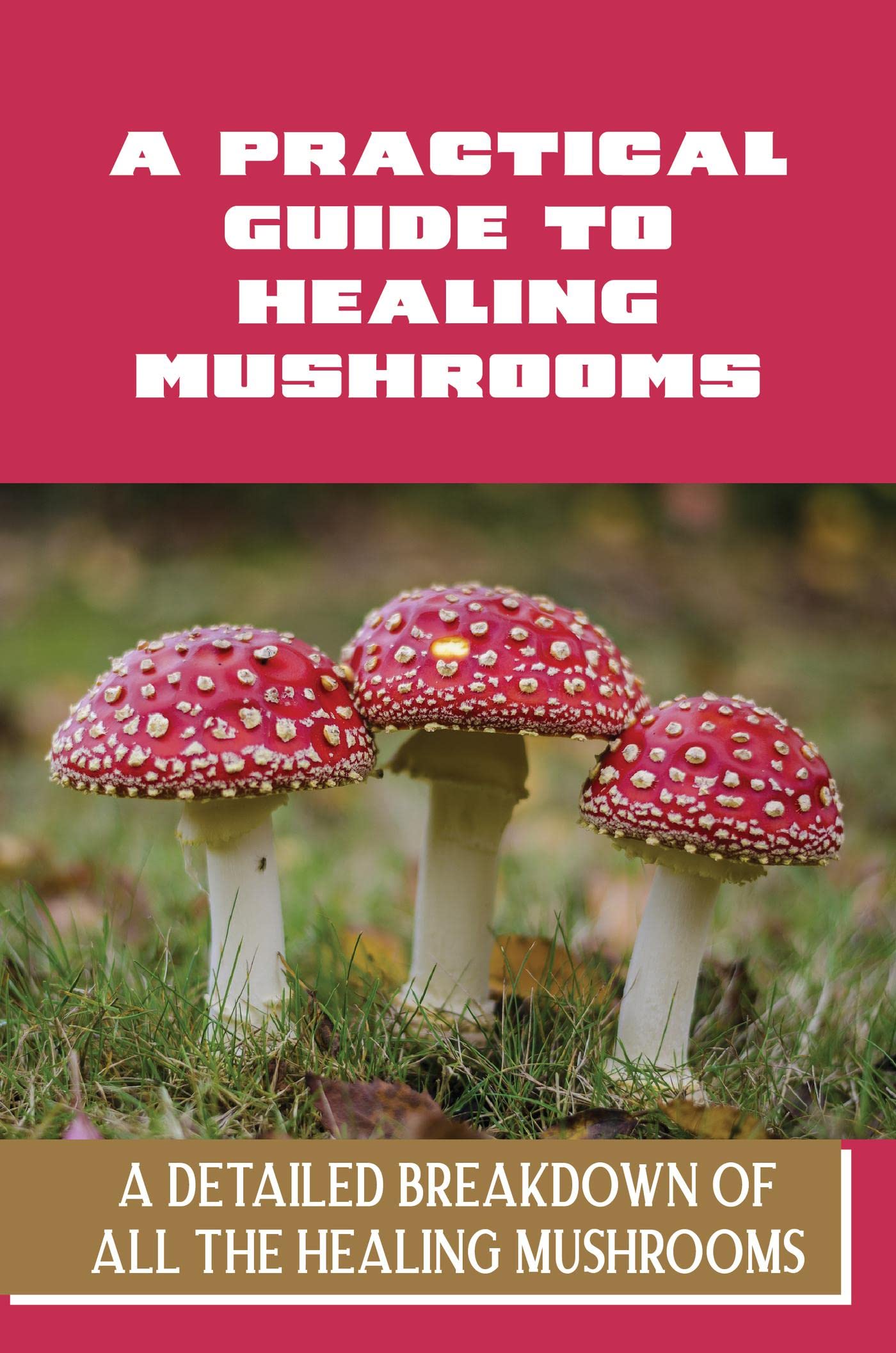 A Practical Guide To Healing Mushrooms A Detailed Breakdown Of All The Healing Mushrooms by