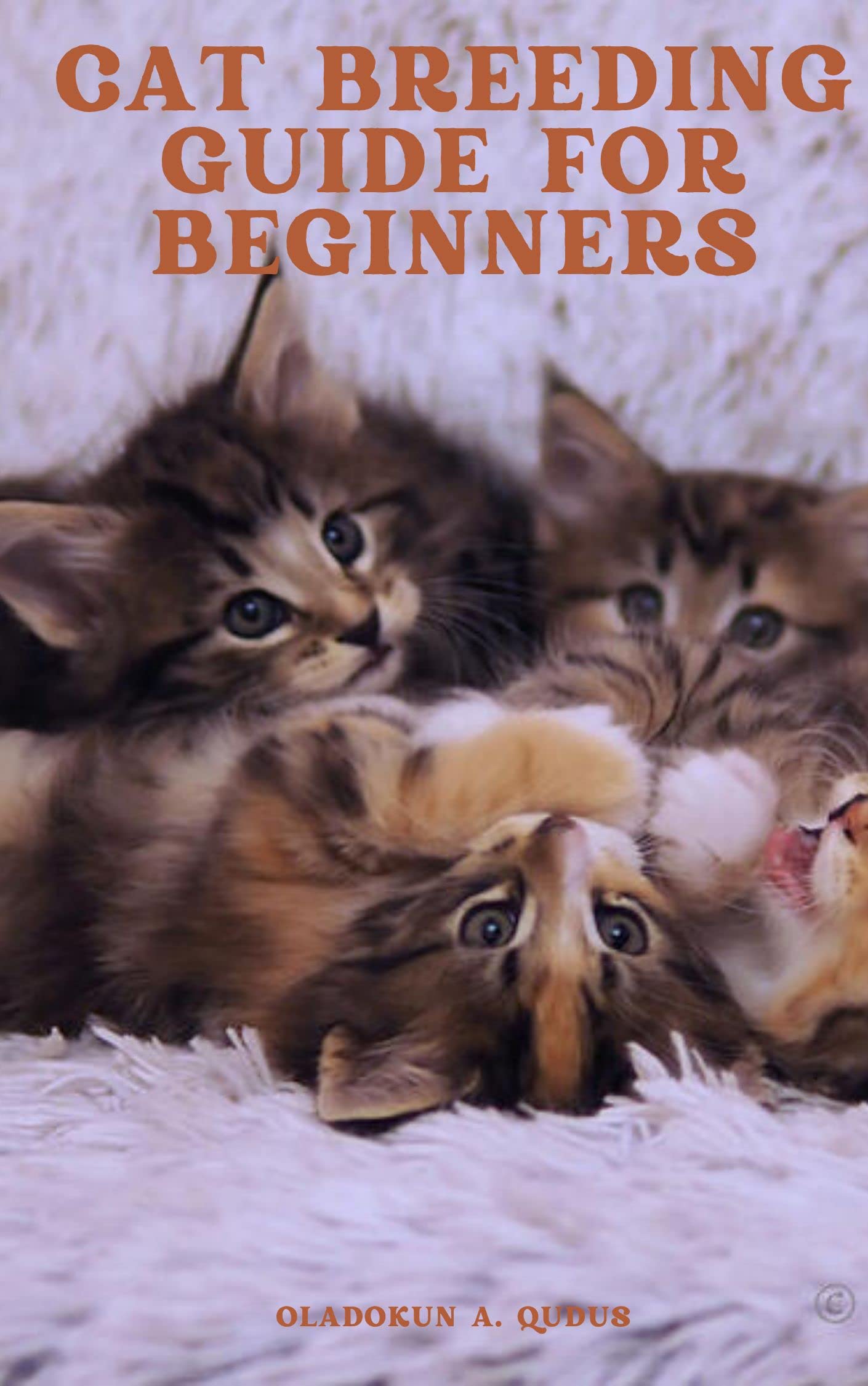 CAT BREEDING GUIDE FOR BEGINNERS The Essential Guide to All Aspects